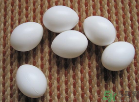 鴿子蛋多少錢一個？鴿子蛋多少錢一斤？?