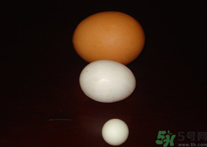 鴿子蛋多少錢一個？鴿子蛋多少錢一斤？?