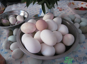 鴨蛋和雞蛋哪個(gè)營養(yǎng)價(jià)值高？鴨蛋和雞蛋的區(qū)別