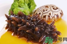 吃海參會上火嗎？經(jīng)常吃海參會上火嗎？