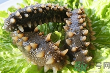 孕婦能吃海參嗎？孕婦吃海參的好處