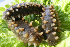 吃完海參能吃水果嗎？吃完海參后多久能吃水果？