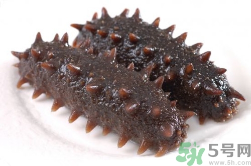 海參可以冷凍嗎?海參冷凍能放多久 海參可以冷凍嗎?海參冷凍能放多久