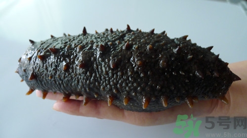 海參可以炒著吃嗎?炒海參的家常做法 海參可以炒著吃嗎?炒海參的家常做法