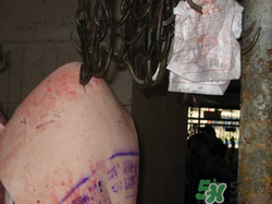 豬皮上的印章如何去除？豬肉上的印章怎么去掉？