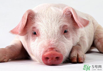 豬皮上的毛怎么去掉？豬皮上的毛能吃嗎？