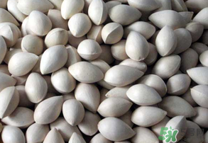 吃白果有什么好處和壞處？吃白果有什么作用？