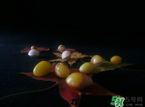 白果可以放微波爐嗎？白果放微波爐轉(zhuǎn)幾分鐘？