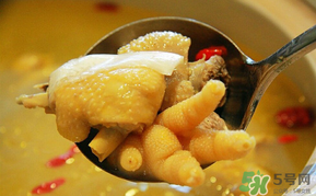 孕婦可以吃老母雞嗎？孕婦吃老母雞好嗎？