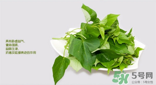 紅薯葉可以生吃嗎?紅薯葉生吃有什么好處 紅薯葉可以生吃嗎?紅薯葉生吃有什么好處