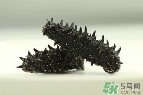 吃海參的副作用有哪些?海參副作用介紹 吃海參的副作用有哪些?海參副作用介紹