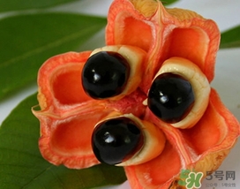 阿奇果怎么吃？阿奇果的功效作用