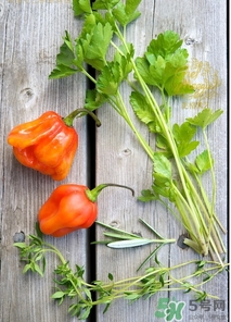 阿奇果怎么吃？阿奇果的功效作用