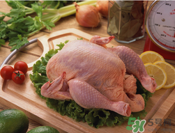 雞肉放冰箱可以放多久？雞肉放在保鮮能放多久？