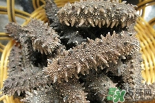 新鮮海參和干海參哪種更好？海參的品種有哪些？