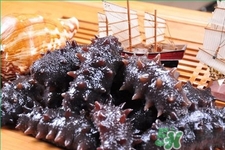 新鮮海參和干海參哪種更好？海參的品種有哪些？