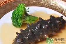 新鮮海參和干海參哪種更好？海參的品種有哪些？