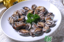 鮑魚能冷凍嗎？鮑魚可以放冰箱冷藏嗎？