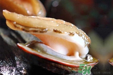 男人吃鮑魚能補(bǔ)腎嗎？腎虛能吃鮑魚嗎？