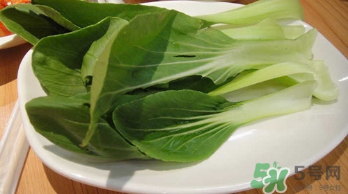 油菜可以包餃子嗎?油菜怎么包餃子呢 油菜可以包餃子嗎?油菜怎么包餃子呢