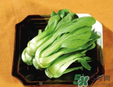 油菜可以包餃子嗎?油菜怎么包餃子呢 油菜可以包餃子嗎?油菜怎么包餃子呢