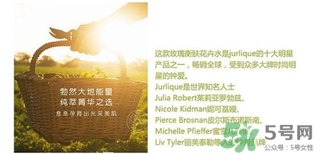 茱莉蔻玫瑰水成分 茱莉蔻玫瑰水孕婦可以用嗎? 茱莉蔻玫瑰水成分 茱莉蔻玫瑰水孕婦可以用嗎?