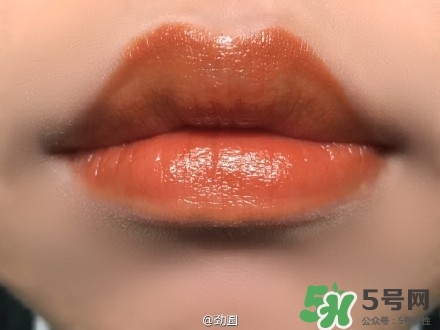 南瓜色口紅試色 南瓜色口紅試色圖 南瓜色口紅試色 南瓜色口紅試色圖