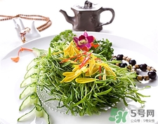 苦菊的營(yíng)養(yǎng)價(jià)值 苦菊的功效與作用 苦菊的營(yíng)養(yǎng)價(jià)值 苦菊的功效與作用