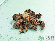 羊肚菌的營(yíng)養(yǎng)價(jià)值 羊肚菌的功效與作用 羊肚菌的營(yíng)養(yǎng)價(jià)值 羊肚菌的功效與作用