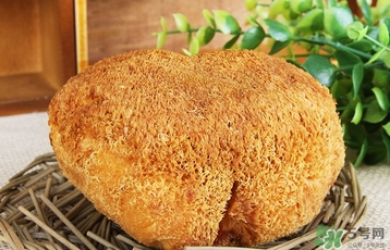 猴頭菇怎么吃？猴頭菇的功效與作用