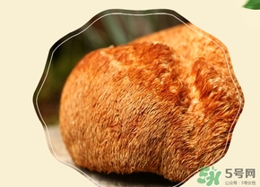 猴頭菇怎么吃？猴頭菇的功效與作用