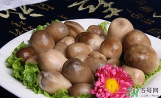 草菇的營養(yǎng)價值 草菇的功效與作用 草菇的營養(yǎng)價值 草菇的功效與作用