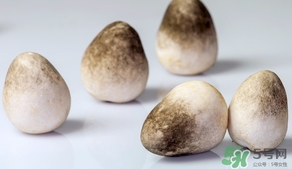 草菇的營養(yǎng)價值 草菇的功效與作用 草菇的營養(yǎng)價值 草菇的功效與作用