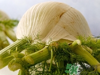 茴香孕婦能吃嗎?孕婦吃茴香好嗎 茴香孕婦能吃嗎?孕婦吃茴香好嗎