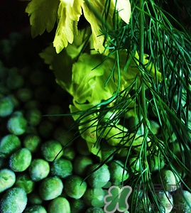 茴香孕婦能吃嗎?孕婦吃茴香好嗎 茴香孕婦能吃嗎?孕婦吃茴香好嗎