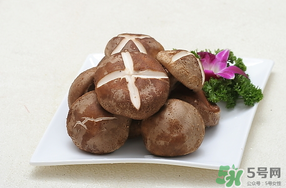 鮮香菇可以放冰箱嗎？鮮香菇可以冷凍嗎？