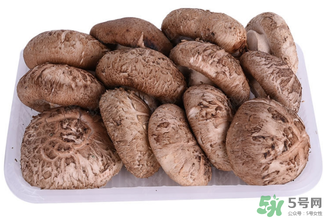 鮮香菇可以放冰箱嗎？鮮香菇可以冷凍嗎？