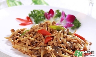 海鮮菇怎么挑選 海鮮菇的功效與作用 海鮮菇怎么挑選 海鮮菇的功效與作用