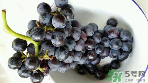 吃黑提子有什么好處?黑提子的功效與作用 吃黑提子有什么好處?黑提子的功效與作用