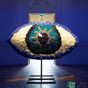 kenzo大眼睛香水多少錢？kenzo大眼睛香水香調