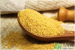 小黃米和大黃米哪個好?小黃米和大黃米的區(qū)別 小黃米和大黃米哪個好?小黃米和大黃米的區(qū)別