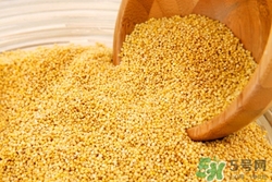 小黃米和大黃米哪個好?小黃米和大黃米的區(qū)別 小黃米和大黃米哪個好?小黃米和大黃米的區(qū)別