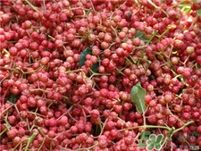 花椒水可以洗外陰嗎?花椒水可以殺死霉菌嗎? 花椒水可以洗外陰嗎?花椒水可以殺死霉菌嗎?