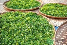 冬天可以喝綠茶嗎？冬天喝綠茶好還是紅茶好？