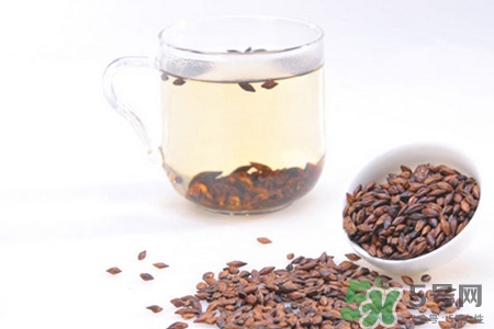 大麥茶喝多了拉肚子嗎？喝大麥茶需牢記的六點禁忌