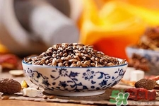 喝大麥茶可以減肥嗎？飲用大麥茶也能減肥