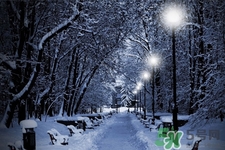 冬天吃什么可以御寒？冬季最佳御寒食物