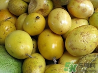 酸棗是什么樣子的?酸棗是酸性還是堿性 酸棗是什么樣子的?酸棗是酸性還是堿性