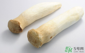 雞腿菇長白毛能吃嗎？雞腿菇怎么做好吃？