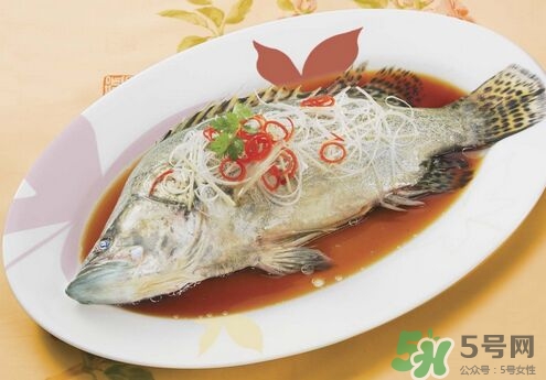 一歲寶寶能吃桂魚嗎?桂魚怎么做給寶寶吃 一歲寶寶能吃桂魚嗎?桂魚怎么做給寶寶吃